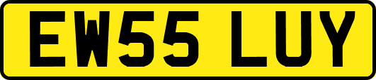 EW55LUY