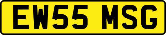 EW55MSG