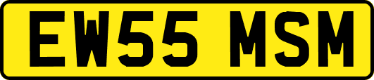 EW55MSM