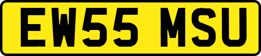 EW55MSU