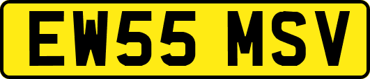 EW55MSV