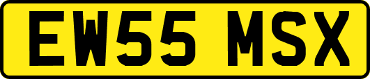 EW55MSX