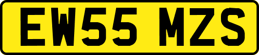 EW55MZS