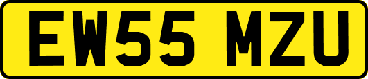 EW55MZU