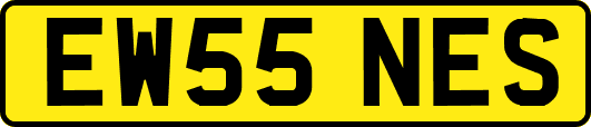 EW55NES