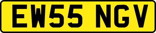 EW55NGV