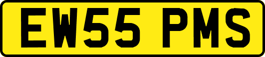 EW55PMS