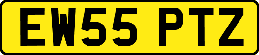 EW55PTZ