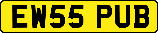 EW55PUB