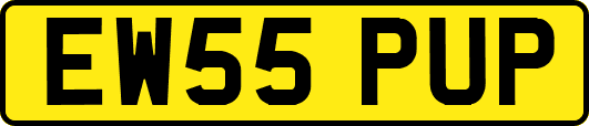 EW55PUP