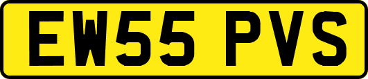 EW55PVS