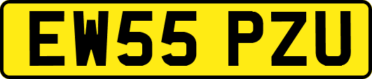 EW55PZU