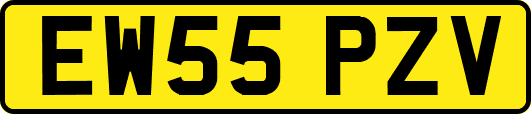 EW55PZV
