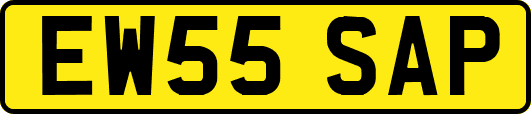 EW55SAP