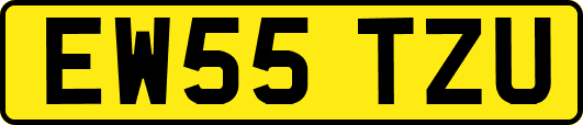 EW55TZU
