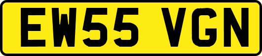 EW55VGN