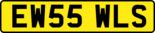 EW55WLS