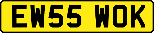 EW55WOK