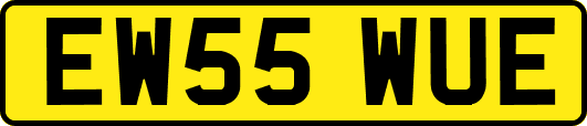 EW55WUE