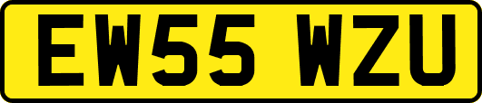 EW55WZU