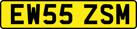 EW55ZSM