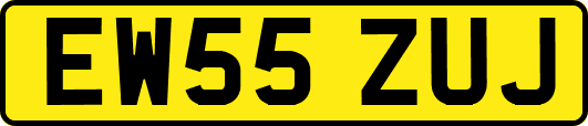 EW55ZUJ