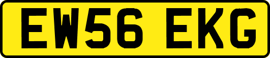 EW56EKG