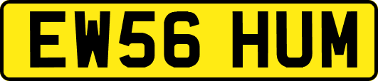 EW56HUM