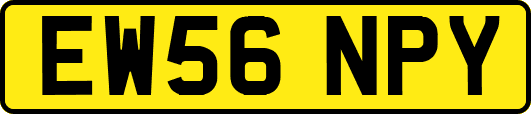 EW56NPY