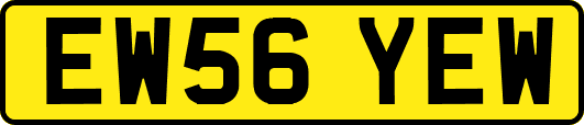EW56YEW