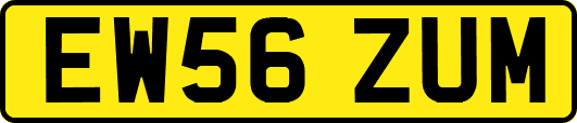 EW56ZUM