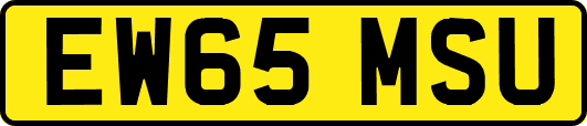 EW65MSU
