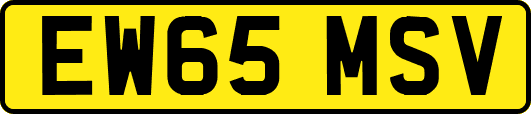 EW65MSV