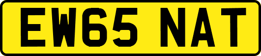 EW65NAT