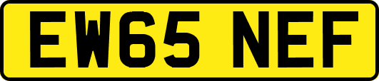 EW65NEF