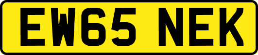 EW65NEK