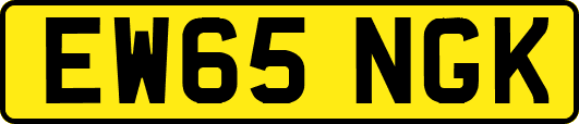 EW65NGK