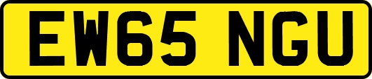EW65NGU