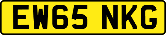 EW65NKG