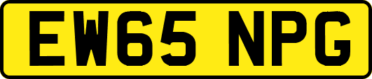 EW65NPG
