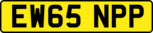 EW65NPP