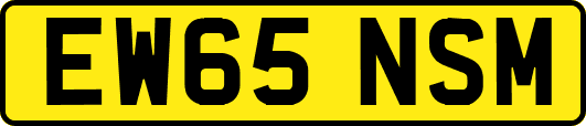 EW65NSM