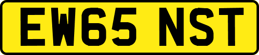 EW65NST