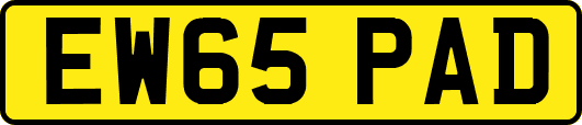 EW65PAD
