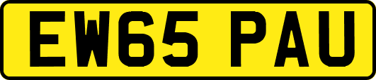 EW65PAU