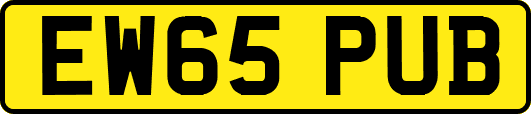 EW65PUB