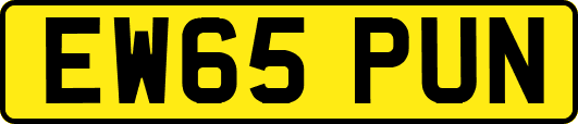 EW65PUN