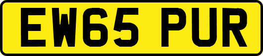 EW65PUR