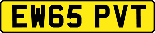 EW65PVT