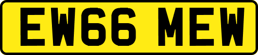 EW66MEW
